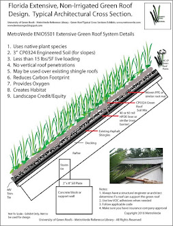 Green Roof Cross Section