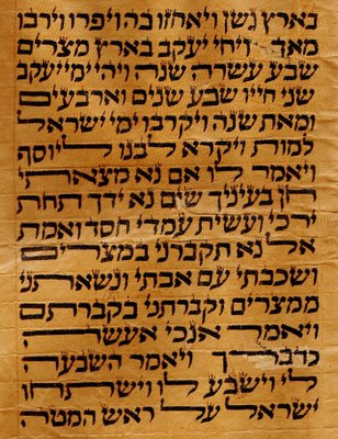 Torah Scroll