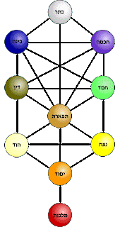 A representation of the Tree of Life