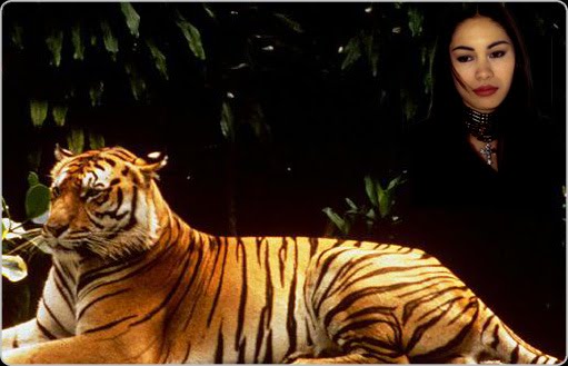 The Lady or the Tiger Study Guide from LitCharts