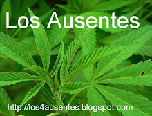 Visitar el Blog Ausente