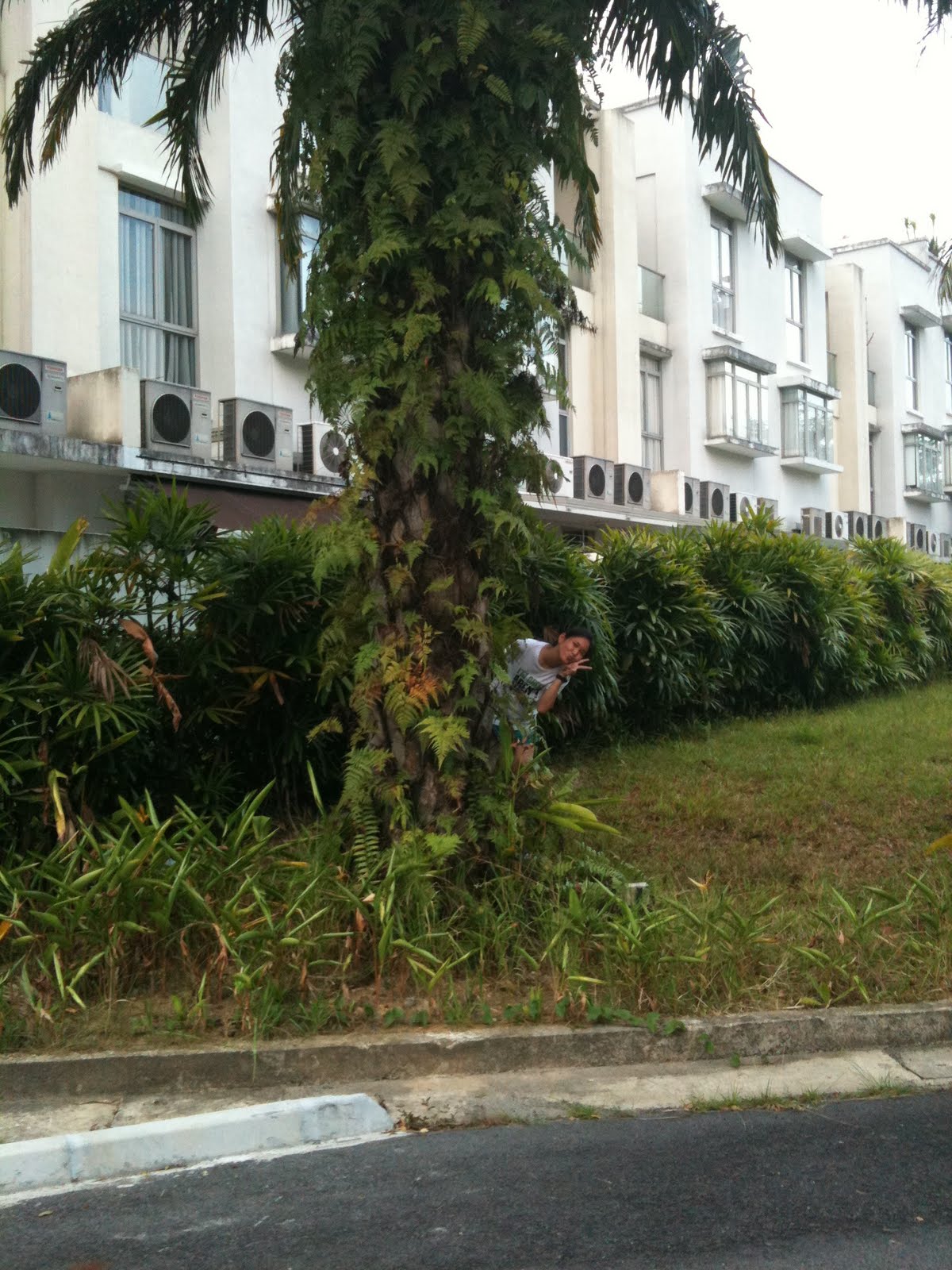 [IMG_0118.JPG]