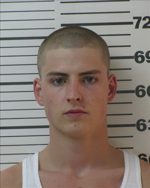 prostitutes arrested in gainesville fl