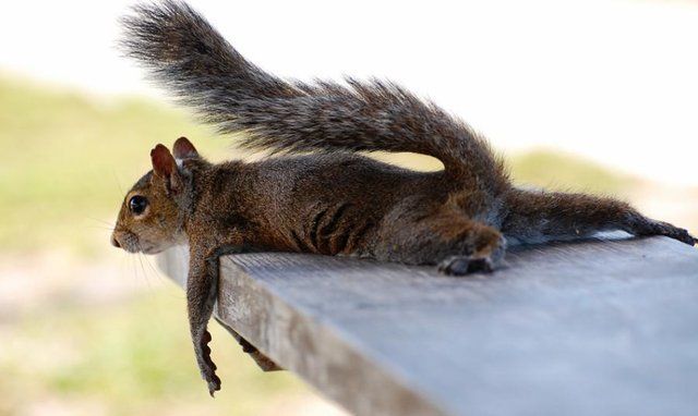 [a8.jpg]