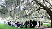 Team McLeod : Our Wedding         start here to share the day