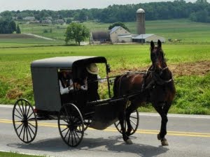[amish_1.jpg]