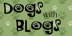 Dogs With Blogs