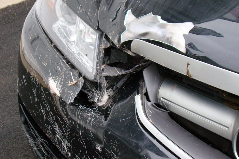 I Think My Car Is Trying to Kill Me