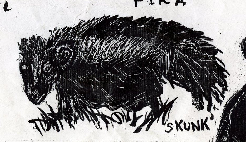 [scratchboard+skunk!.jpg]