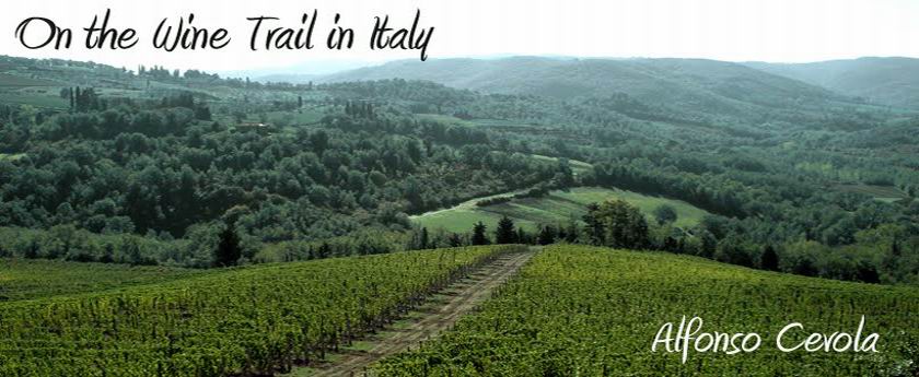 On the Wine Trail in Italy