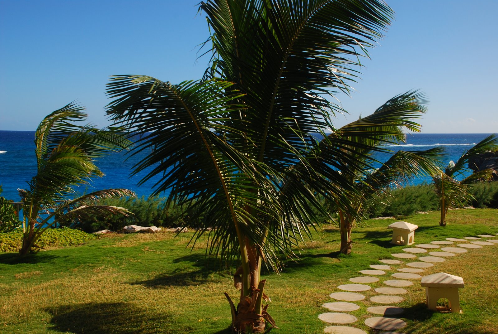 [DSC_0345.JPG]
