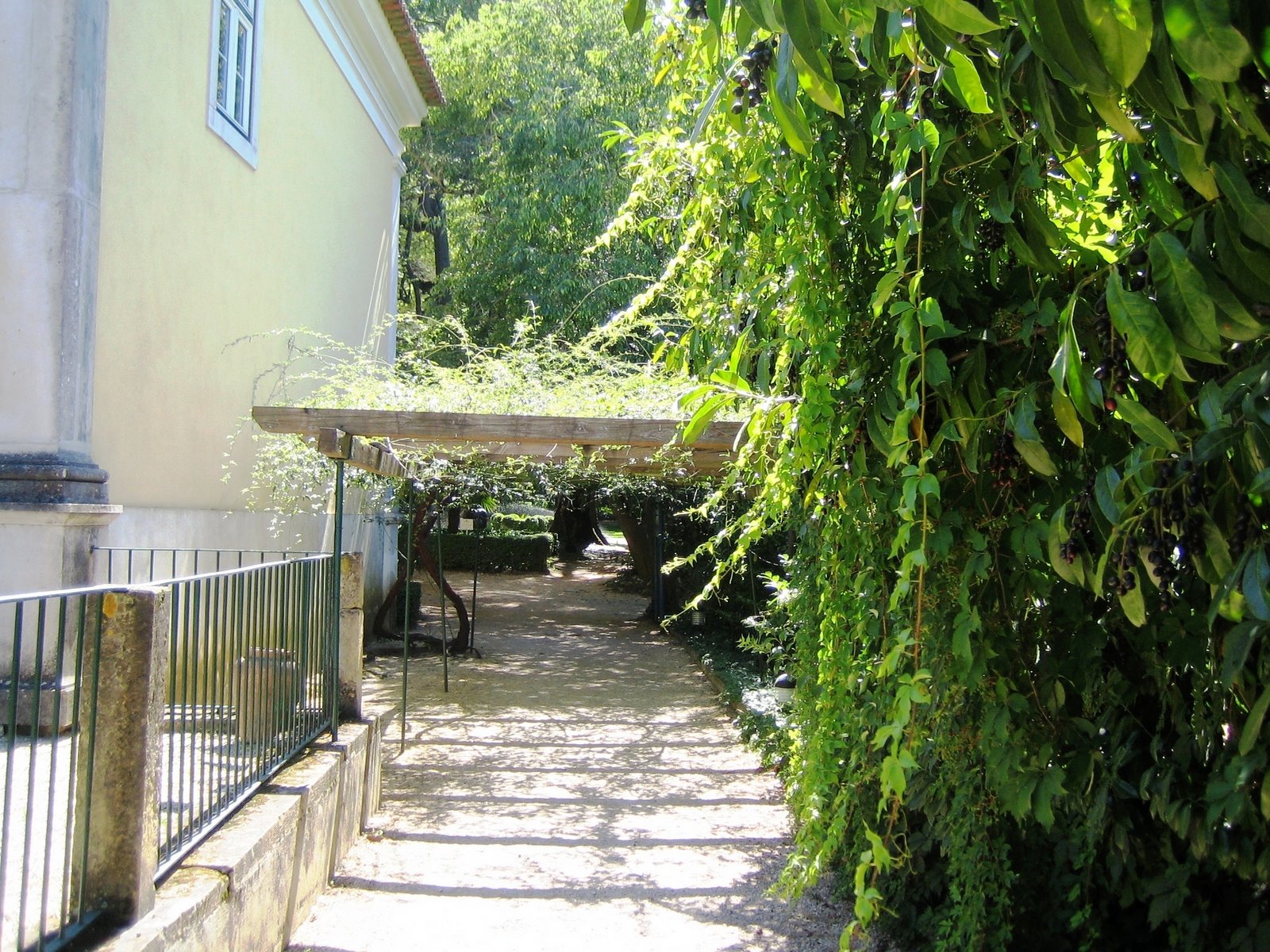 [IMG_2424.JPG]