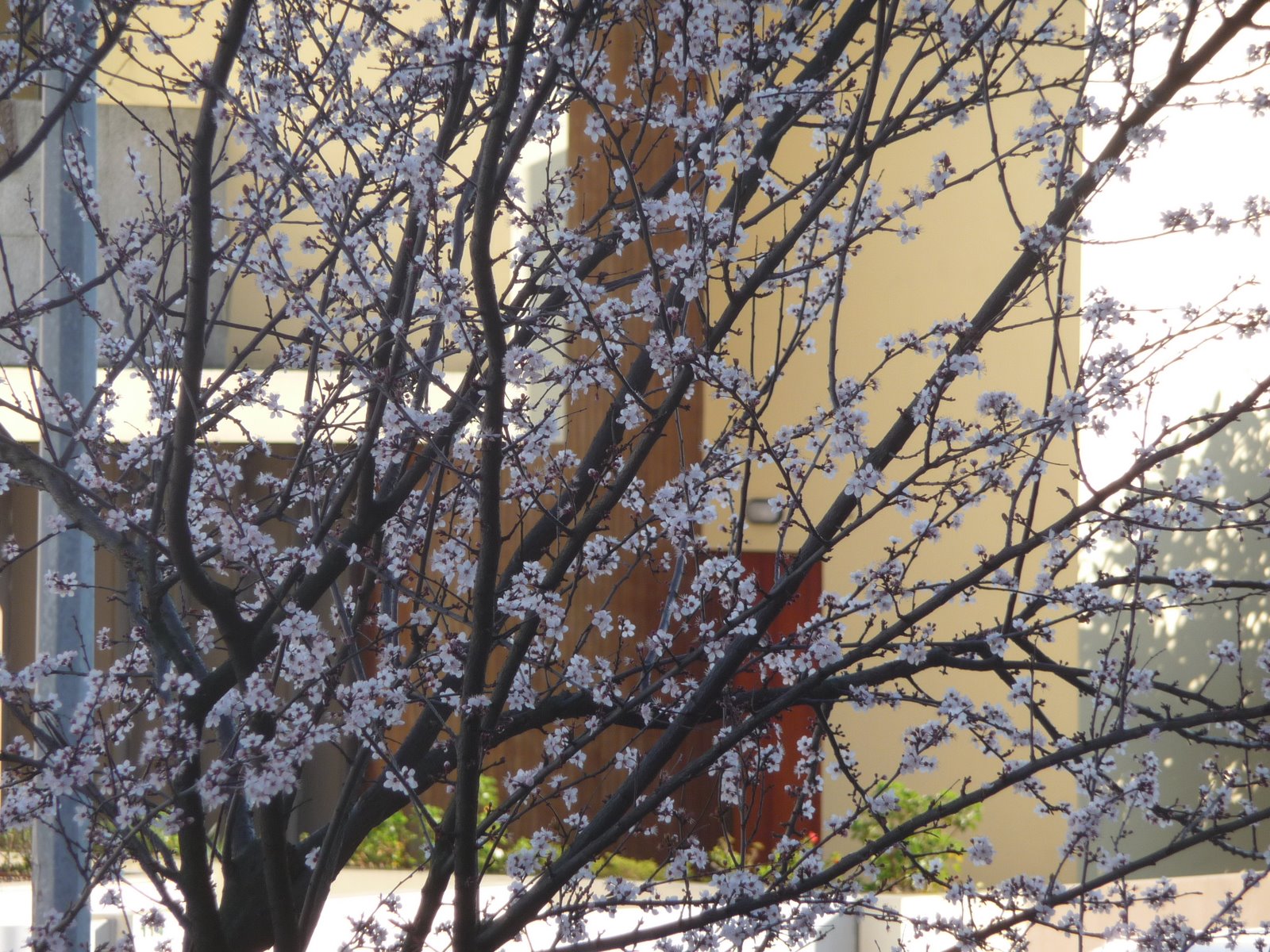 [P1010467.JPG]