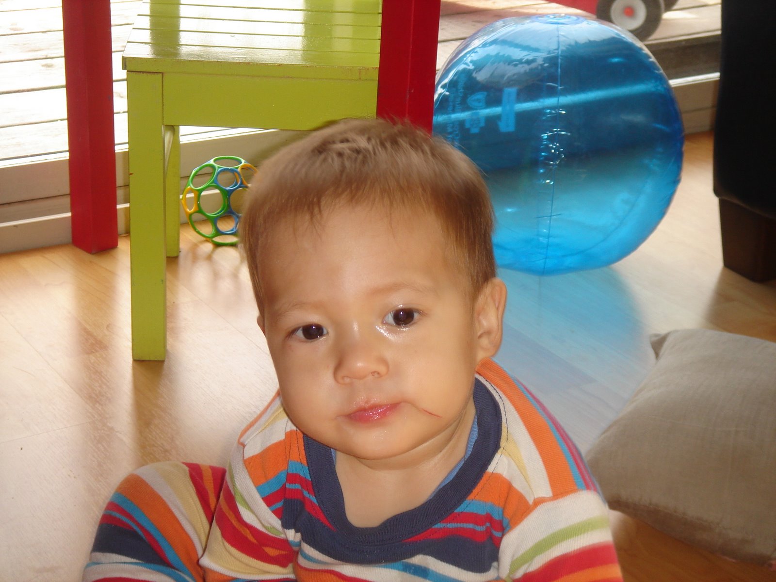 [DSC06402.JPG]