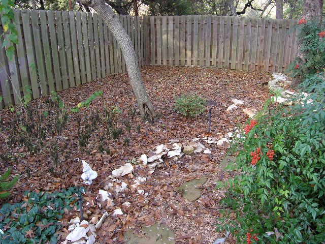 The Lazy Shady Gardener: Garden Tour: January 2011