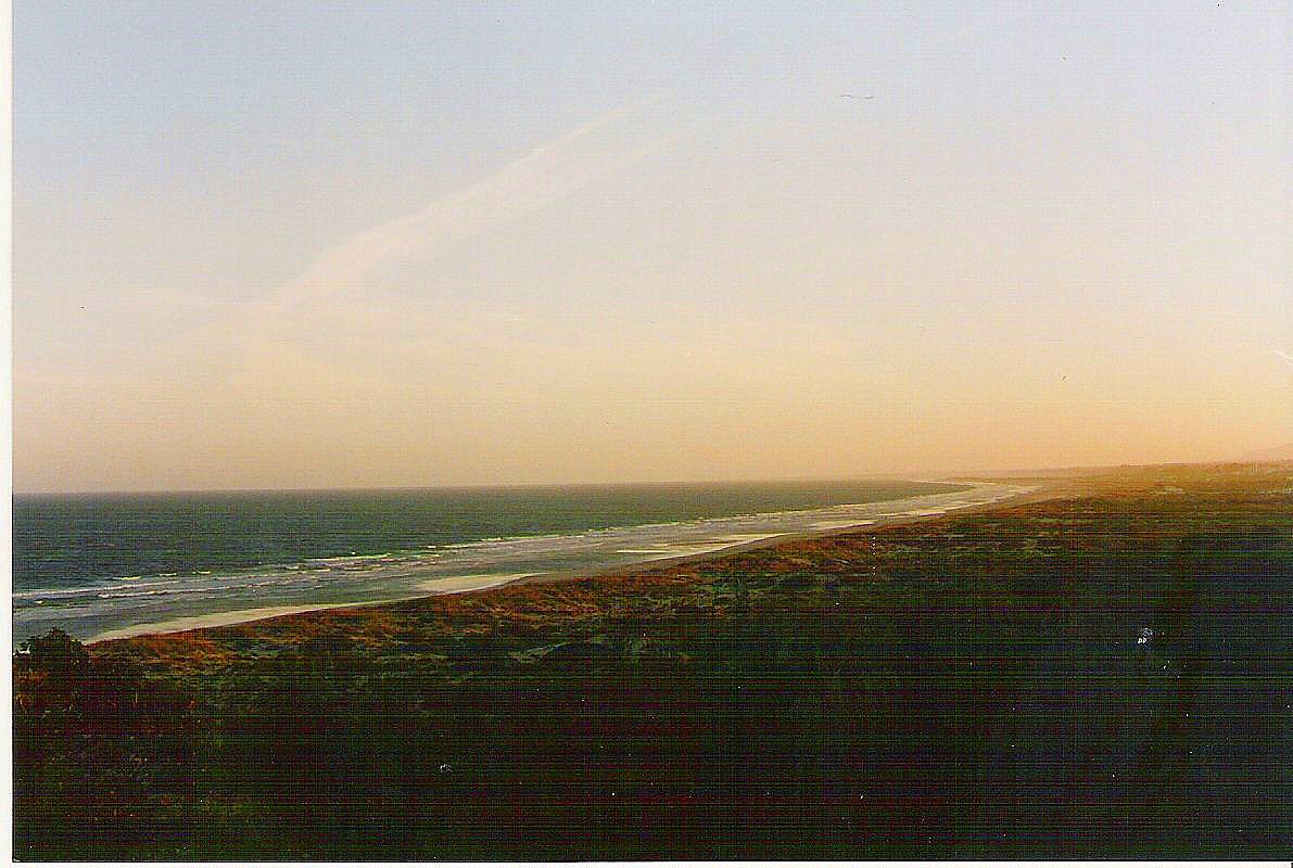 [image0.jpg]