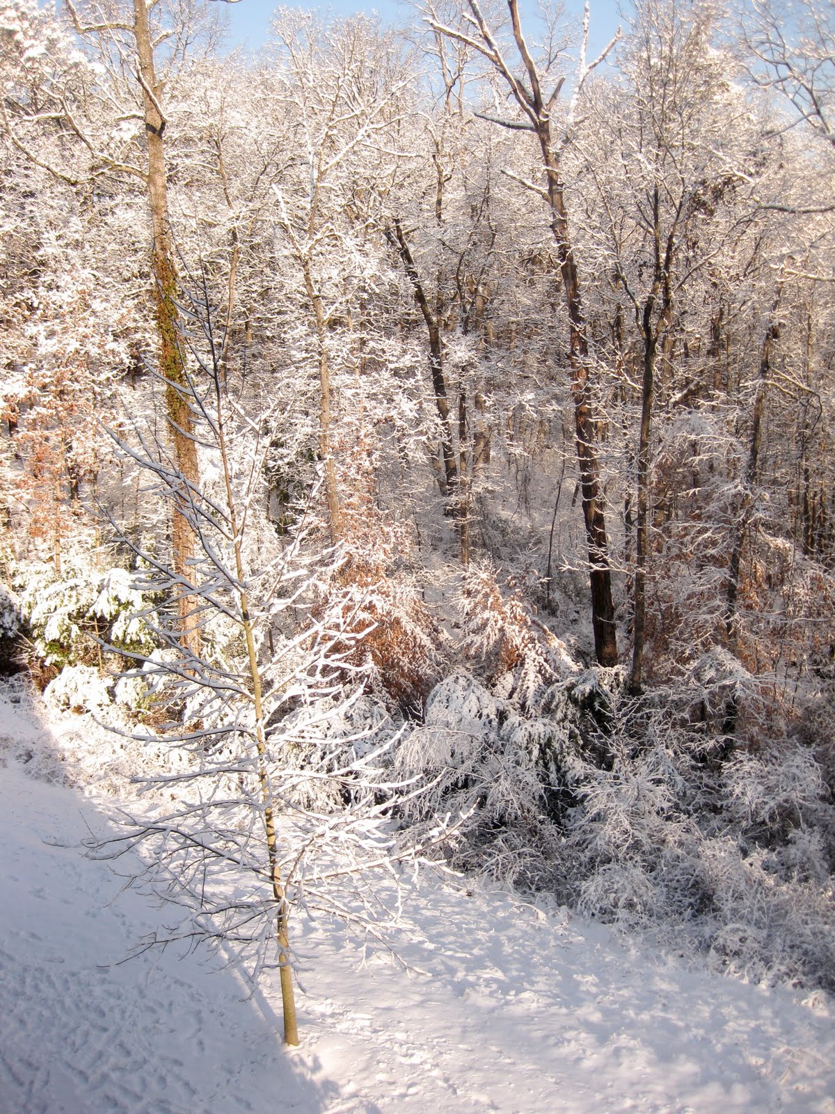 [IMG_2459.JPG]