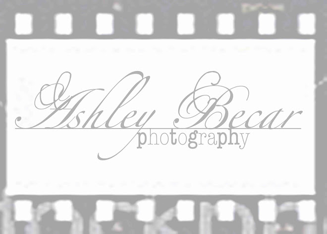 Ashley Becar Photography