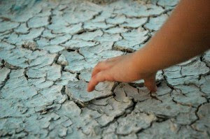 child's hand in the desert