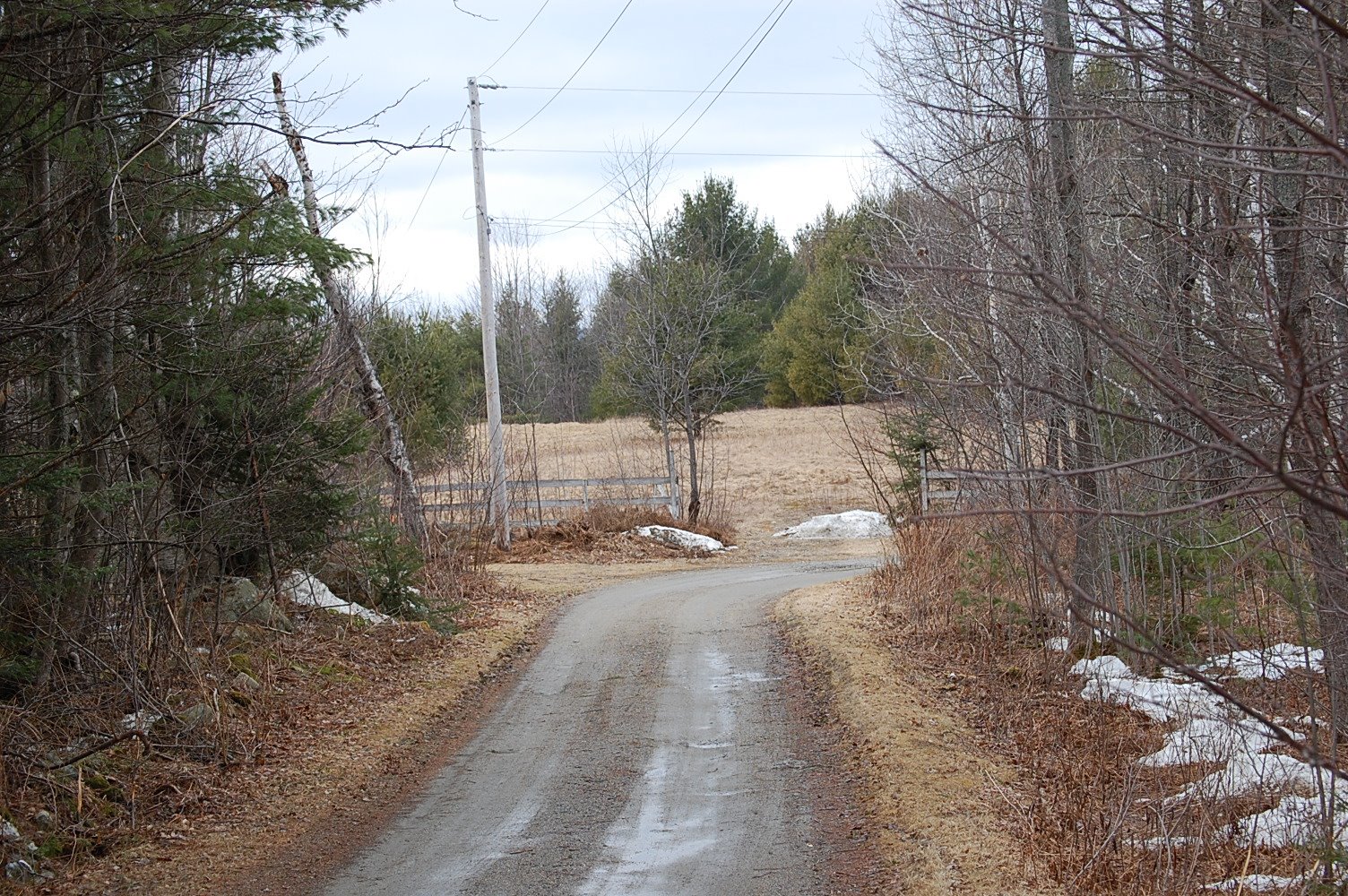 [DSC_0085.JPG]