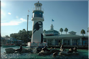 SeaWorld, Orlando, Florida