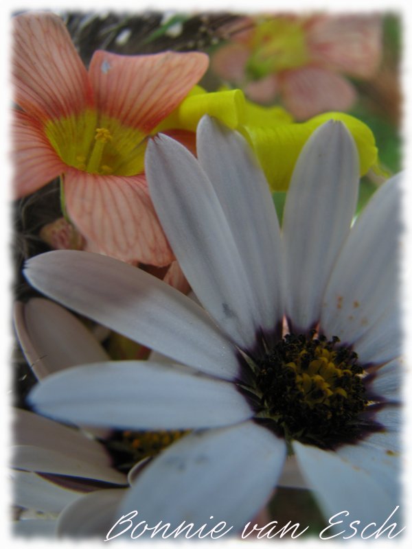 [28++August+2007+032.jpg]