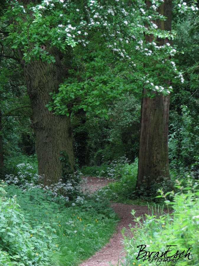 [IMG_4557.JPG]