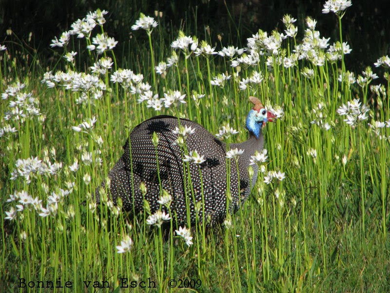 [October+20th+092.jpg]