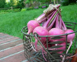 What treasures are to be found at farmers markets?! How about Scarlet Queen turnips from Maplewood's Wednesday market?