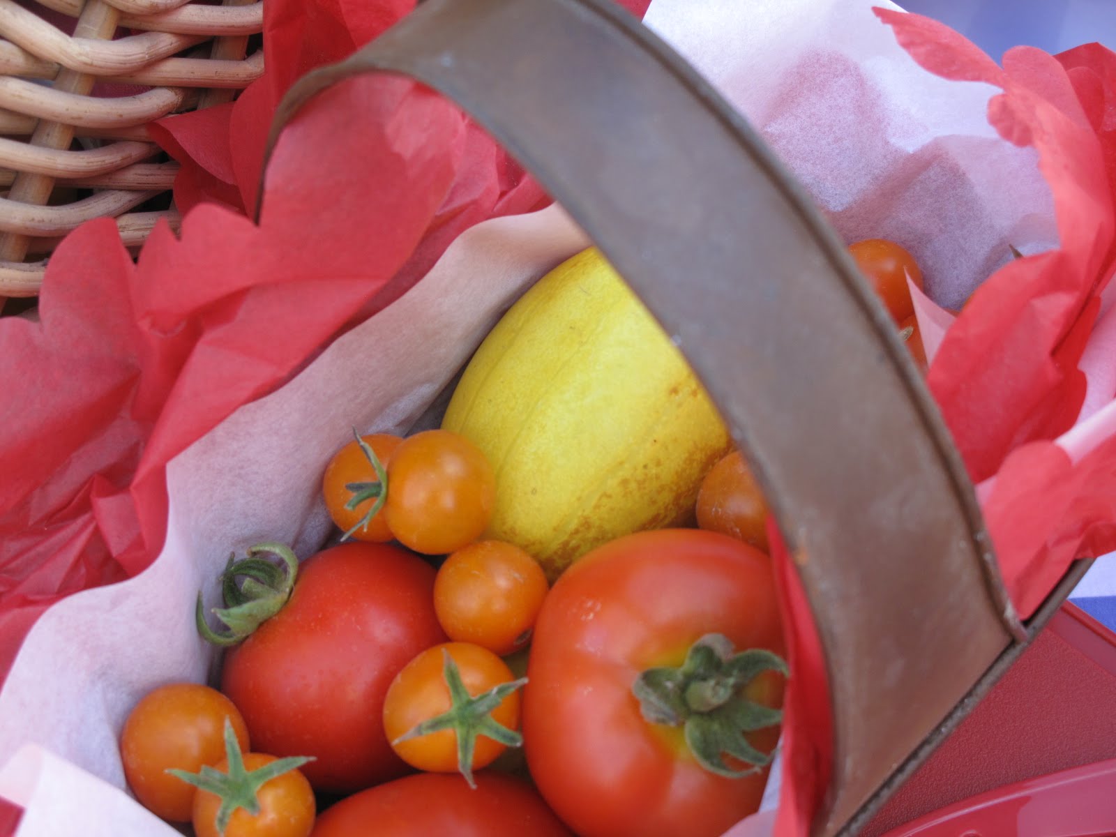 Bridal Veil Falls Picnic Tablescape Purple Chocolat Home