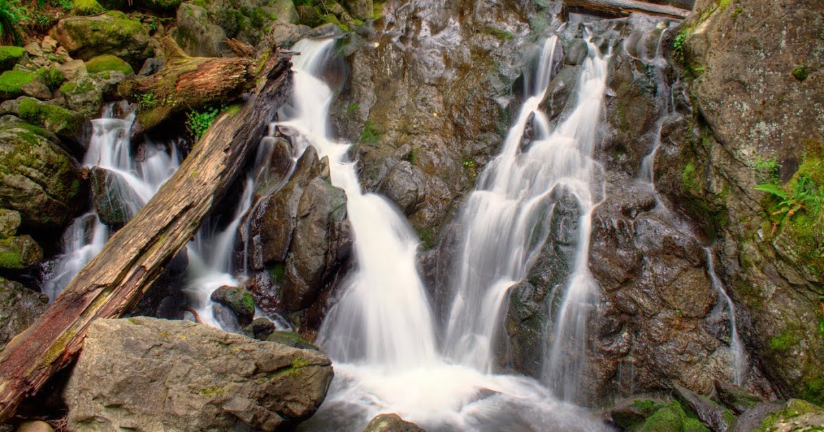Curtis' Photos Hamilton Mountain Hike