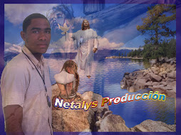 Netalys Produccion