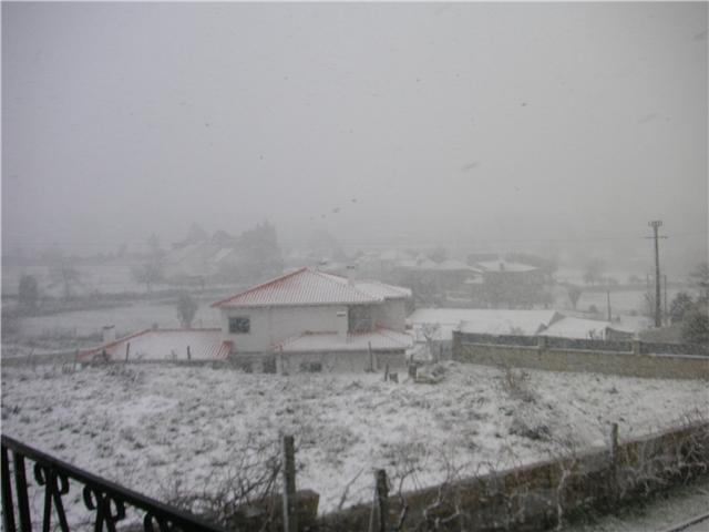 [Cristina-4.jpg]