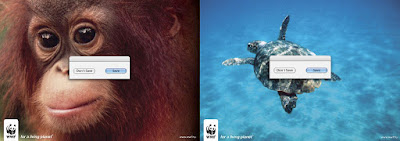 Creatividad+More+AdWords+animals