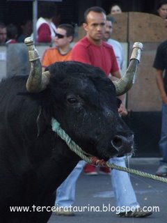 [canadadoregelo.jpg]