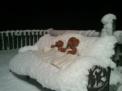Teddy Bed