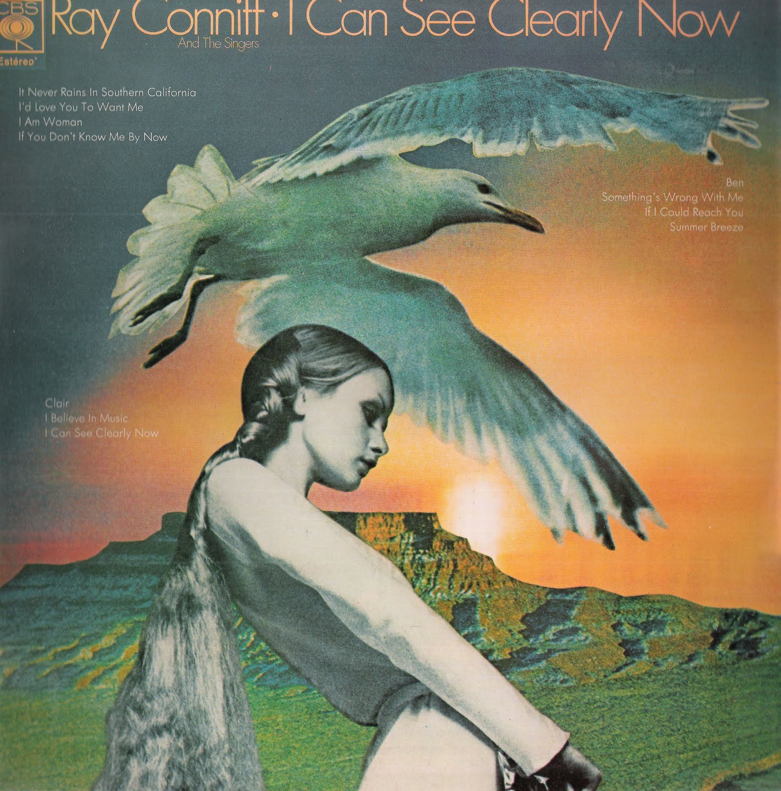 IÉIÉ I CAN SEE CLEARLY NOW