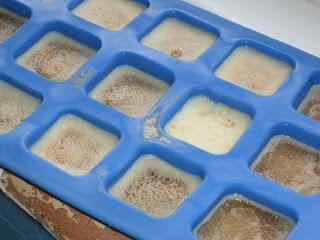 chicken stock in ice sube tray