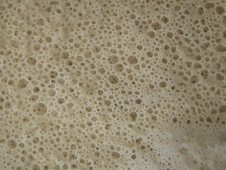 Frothy SUrface of Sourdough Starter