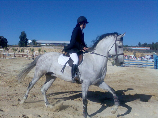 [corrida-de-cavalos.jpg]