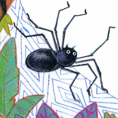 Anansi The Spider