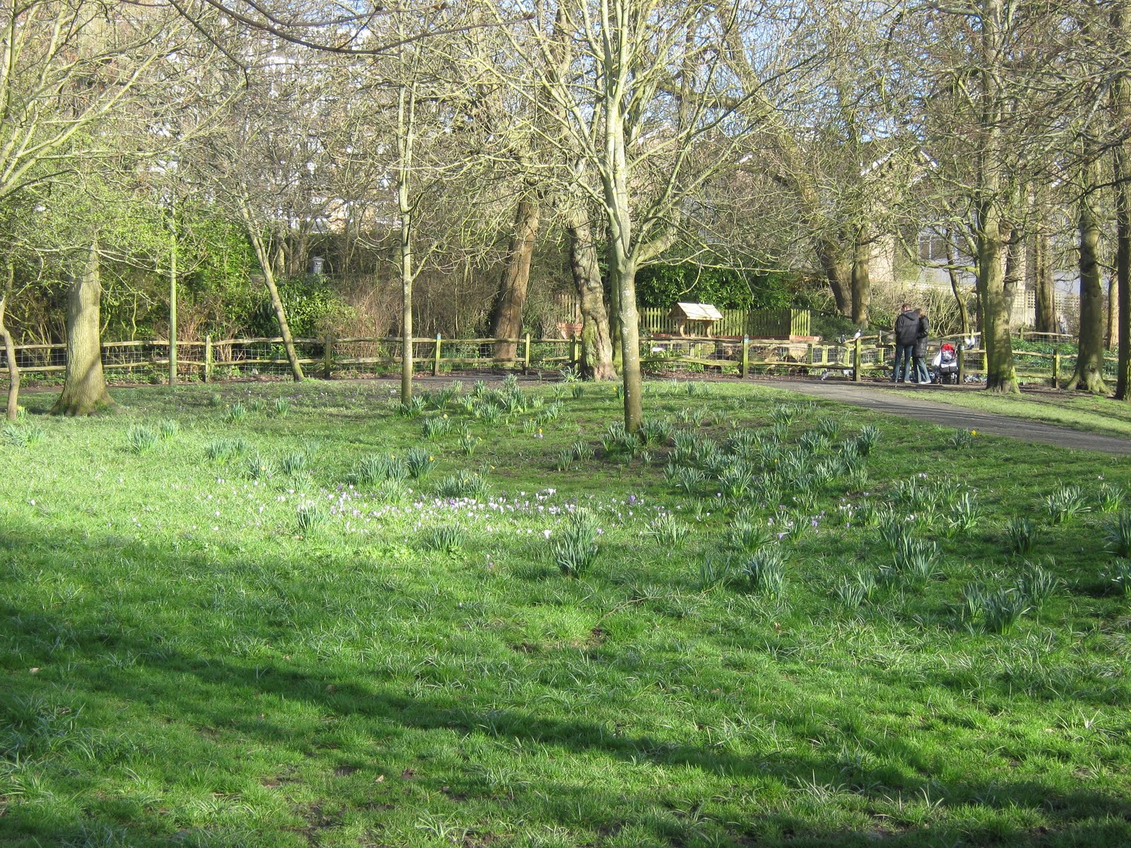 St Anne's Wells Gardens, Hove