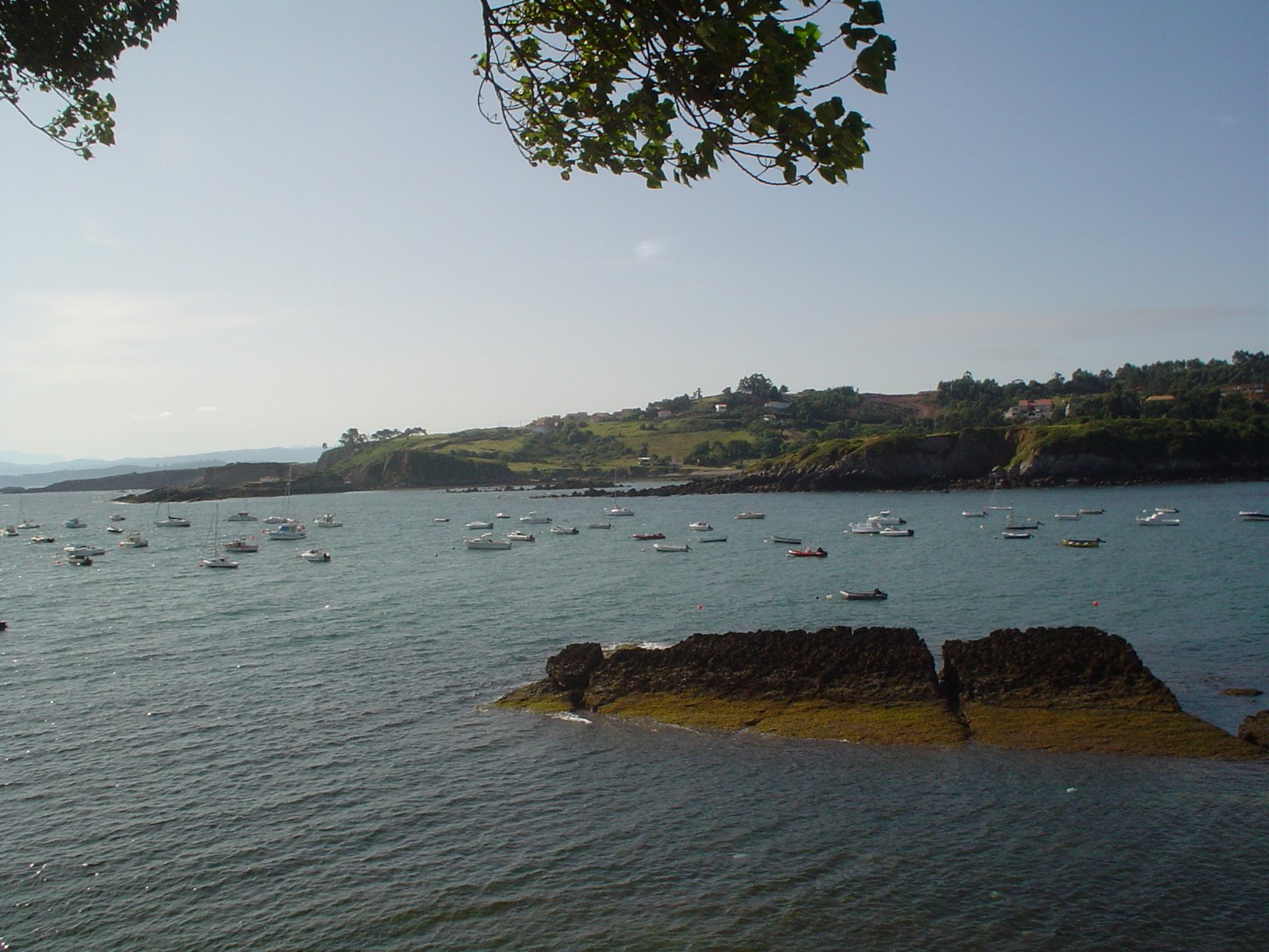 [DSC01266.JPG]