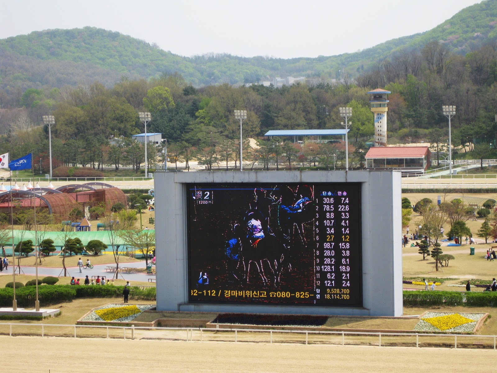 A South Korea Kinda Life Horse Racing Korean Style!