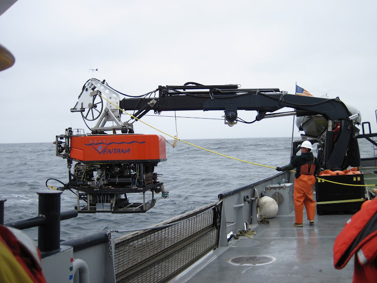 sending the ROV down