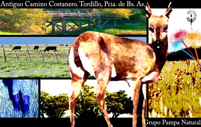 Postal mes de Junio