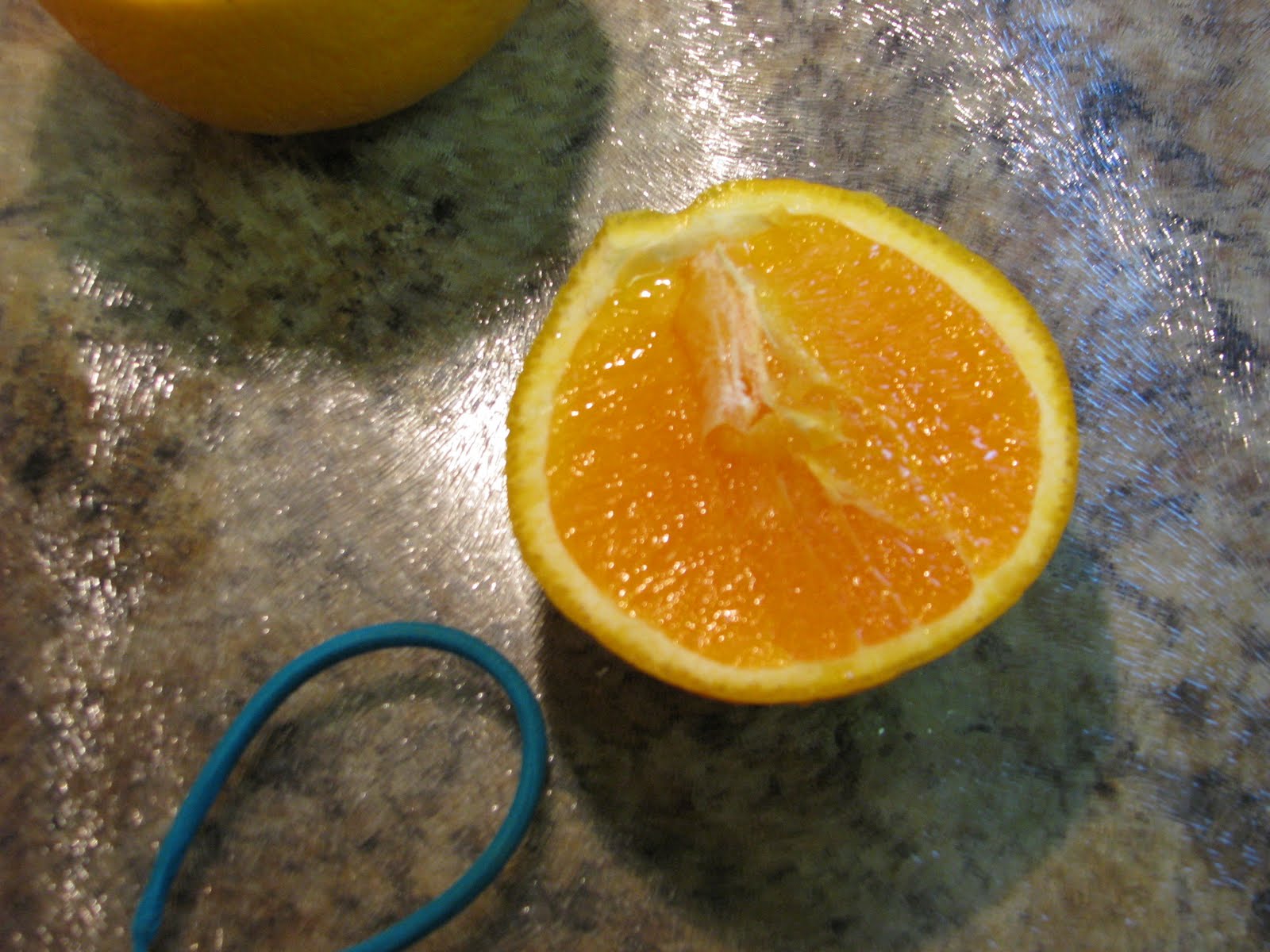 AP Biology Summer Assignment