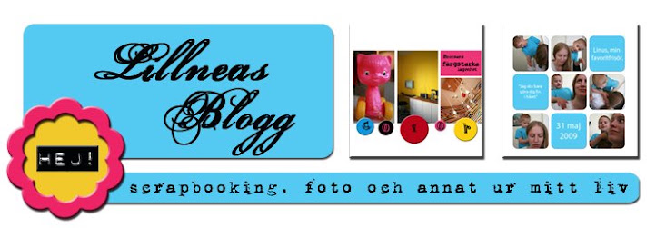 Lillneas Blogg