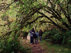 A walk in the forest