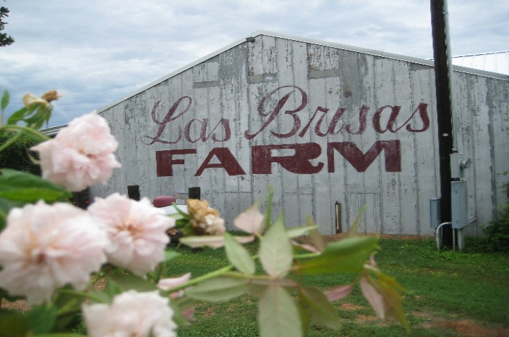 Las Brisas Farm
